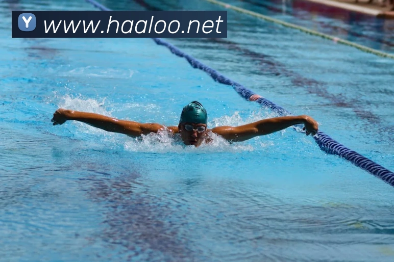 hth官网首页网址入口平台生态图